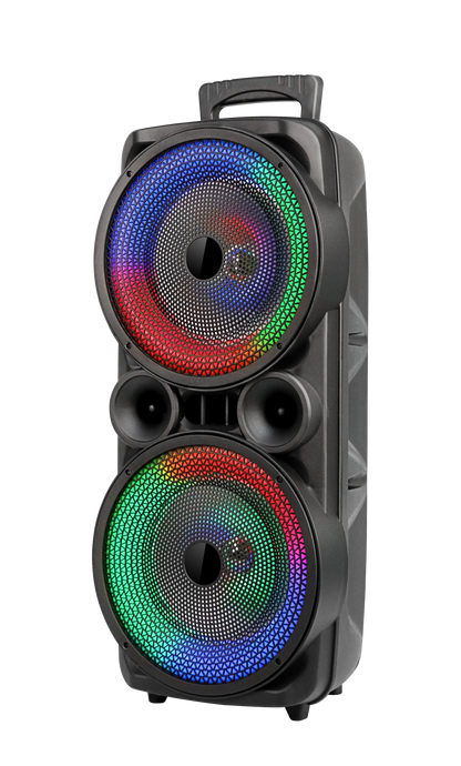 GTS-1569 Bluetooth Speaker with USB, TF, FM, Display, MIC, TWS & Dual 8-Inch 10W Subwoofers (2400mAh Battery)