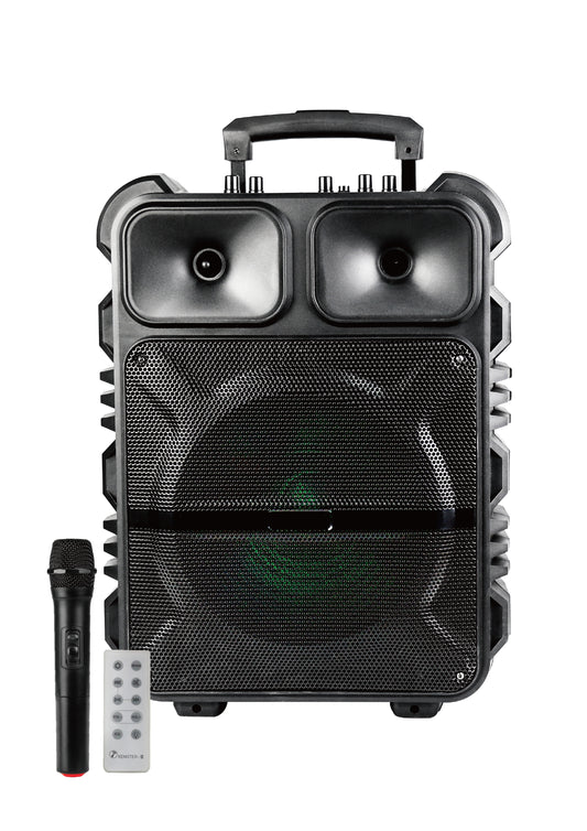 KTS-1163 Multifunctional Wireless Karaoke Speaker with Bluetooth  Microphone, TWS, Dual Wireless Microphone Duets, 12-inch Speaker, 30W + 10W (Tweeter), and 1800mAh Battery"